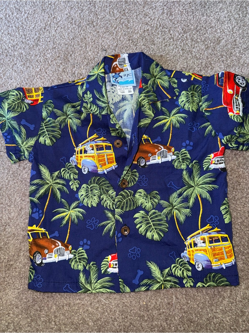 RJC Navy Tropical Palm & Woody Car Button-Down Shirt - Kids